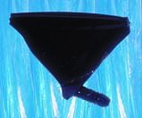 6101.07.231