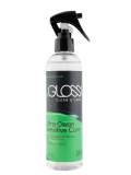 BEGLOSS CLEAN & CARE 250ML