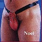 Noel